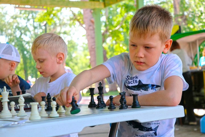 В Алтайском крае появится детский лагерь шахматного профиля