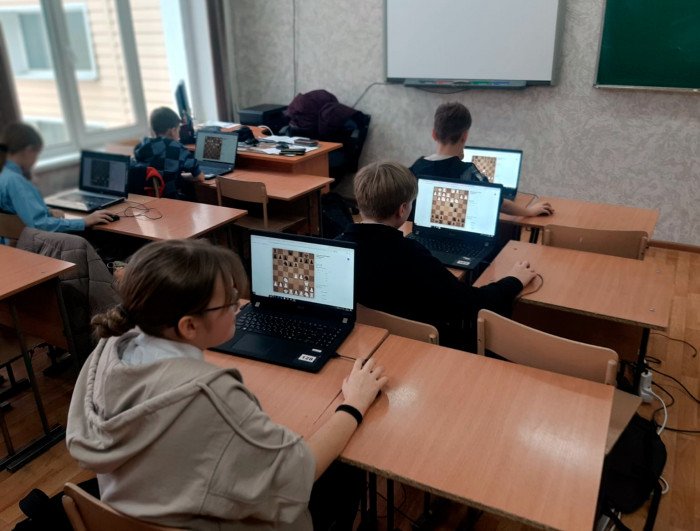 Барнаульская гимназия №123 вышла в финал всероссийского онлайн-турнира