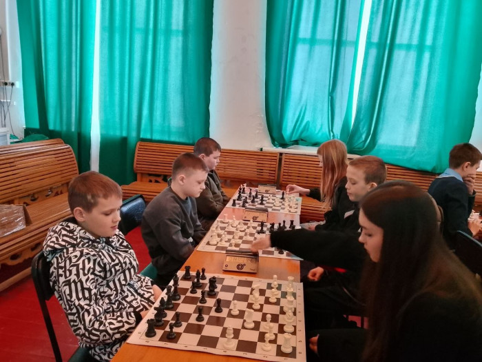 Как проходили отборы «Дебюта», «Белой ладьи» и «Шахматного поля»