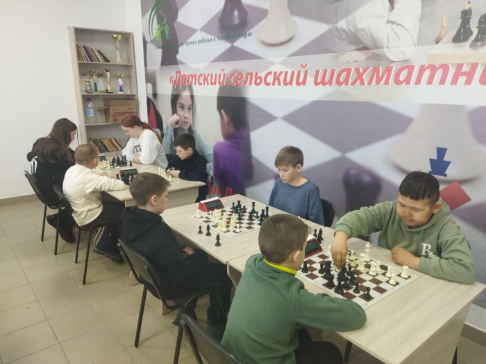 Как проходили отборы «Дебюта», «Белой ладьи» и «Шахматного поля»