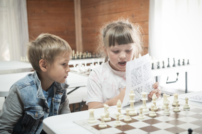 В летний сезон «Шахматная страна» примет более 250 отдыхающих