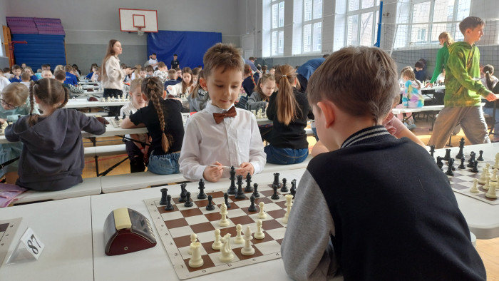 Определились победители и призёры первенства Барнаула по шахматам
