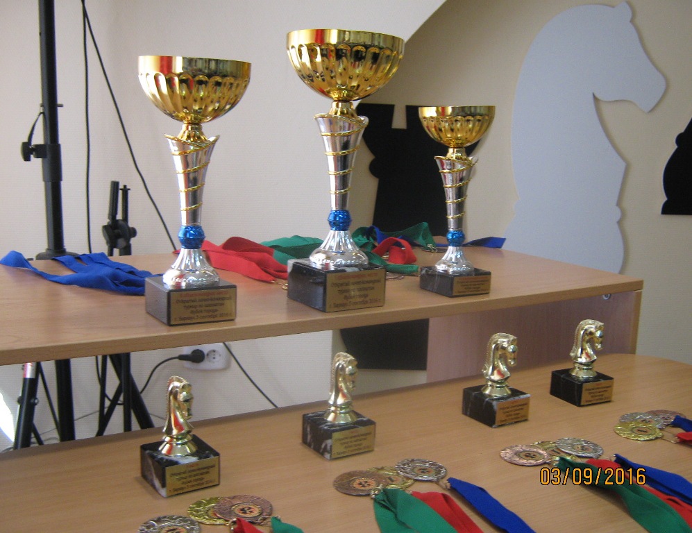 В Алтайском крае готовятся к Дню шахмат